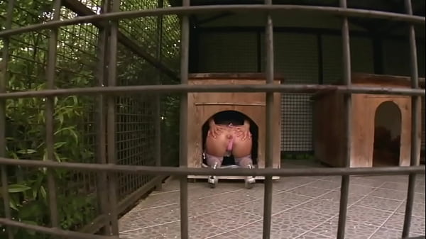 Clarissa EURO Anal David Perry, Ian Scott outdoor, costumes, stockings, swallow bitch hardcore double penetration Teaser#1 babe, small tits, big ass, natural, slut, natural tits, stockings, hardcore, anal sex, anal, pussy fuck, ass fuck, ass gape, anal