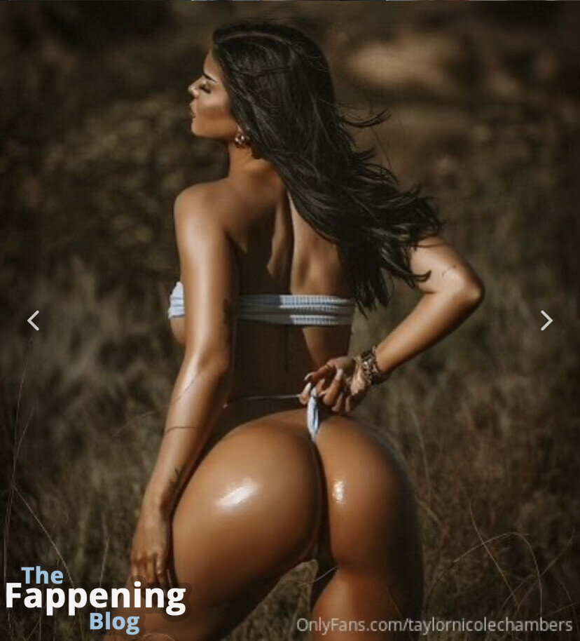 Taylor Nicole Chambers / taylornchambers_ / taylornicolechambers Nude Leaks OnlyFans Photo 27