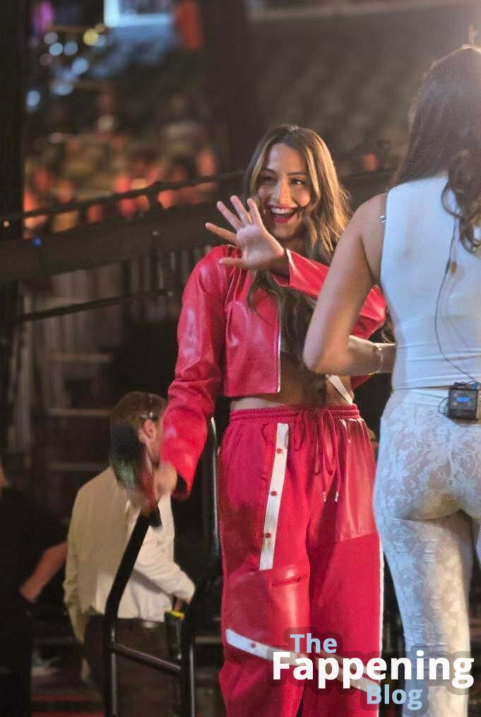 The Bella Twins: / Nikki Bella & Brie Bella / thenikkibella Nude Leaks Photo 109