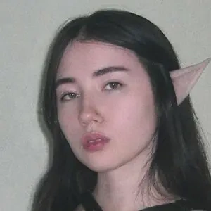 Armoured Elf