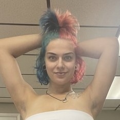 stella